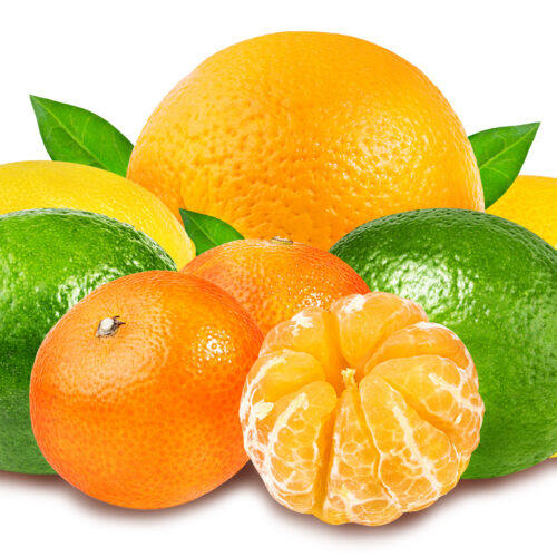 Citrus Fruit