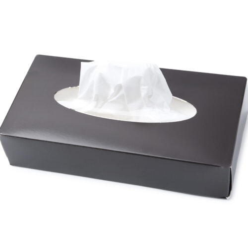 Facial Tissues Travel Size