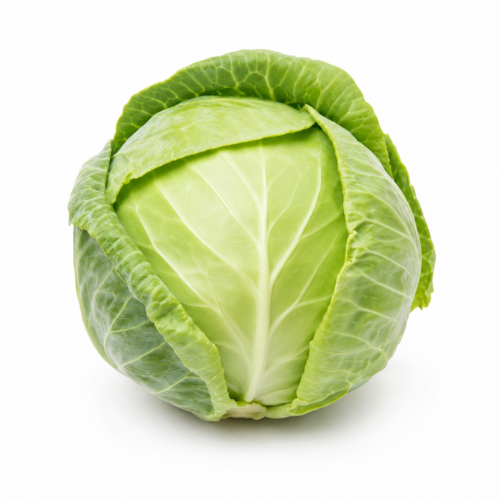 Cabbage