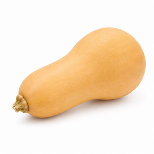 Squash/Zucchini