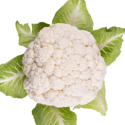 Cauliflower Head