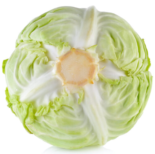 Cabbage